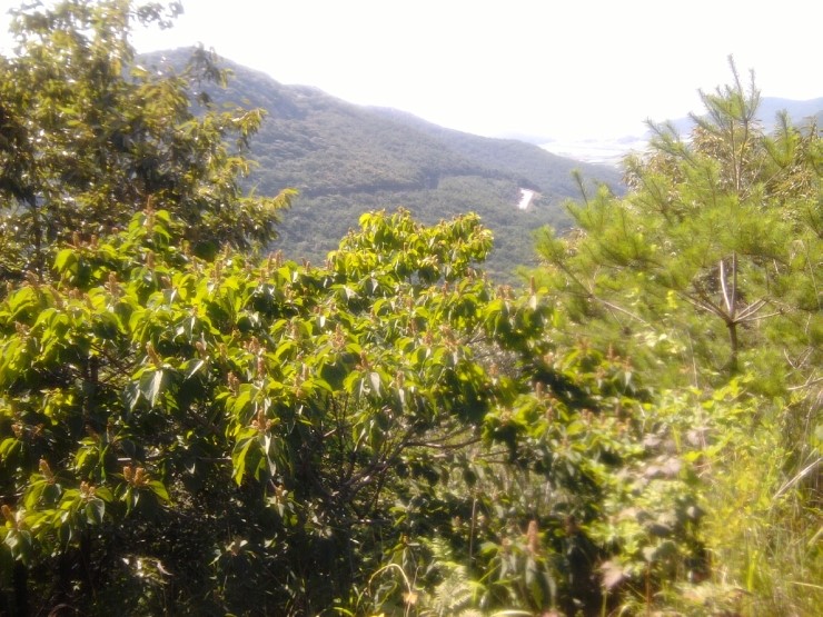 �������� �쵿���� û������ �մ� ������ �ַ�